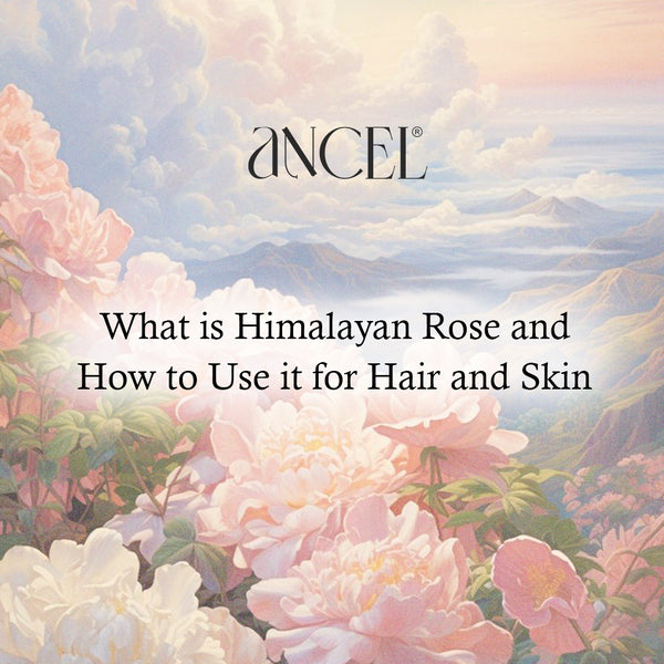 What is Himalayan Rose and How to Use it for Hair and Skin