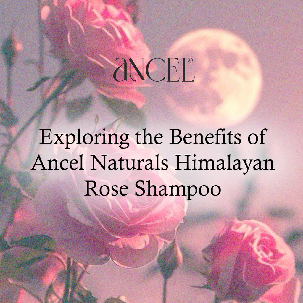 Exploring the Benefits of Ancel Naturals Himalayan Rose Shampoo